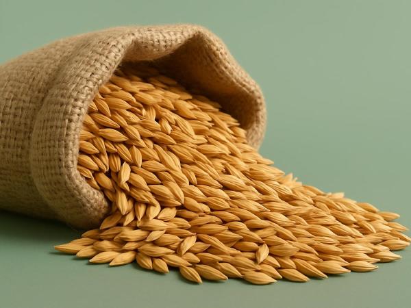 Über Gerstenwasser gegen die Hormone, die den Appetit anregen